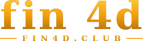 fin 4d logo